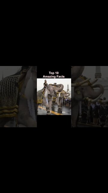 Top 10 amazing facts #shorts #reels #facts #amazing #unknown #dubai