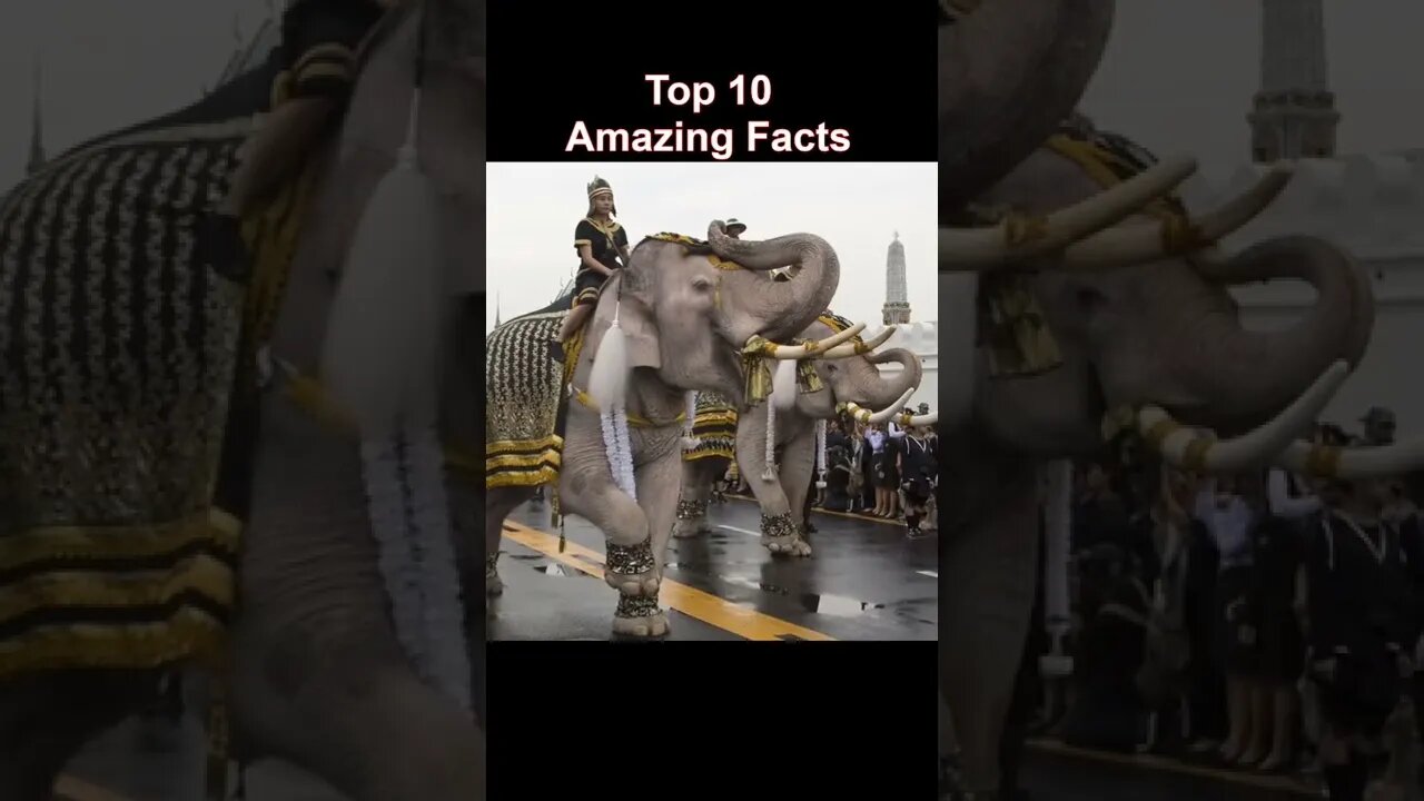 Top 10 amazing facts #shorts #reels #facts #amazing #unknown #dubai