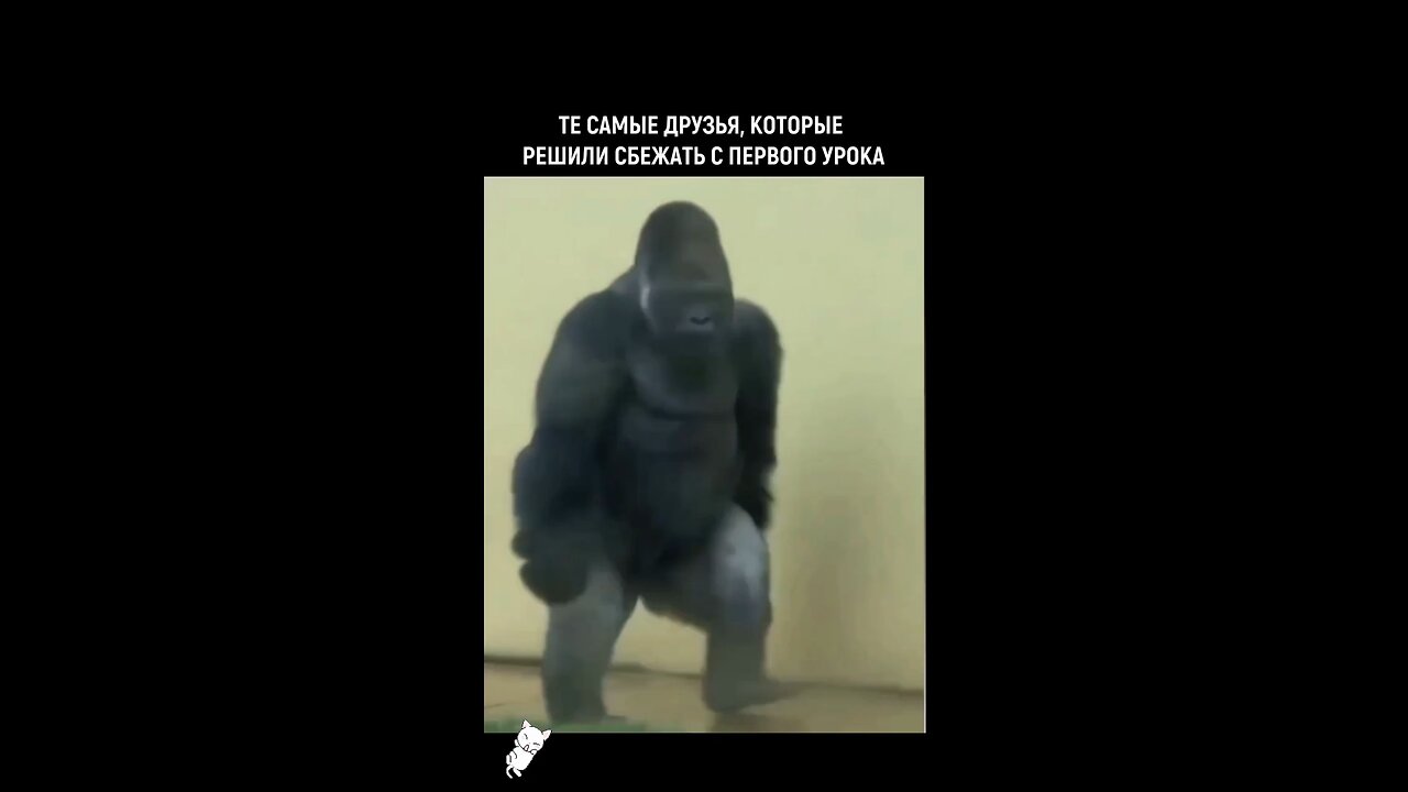 LOL for you
