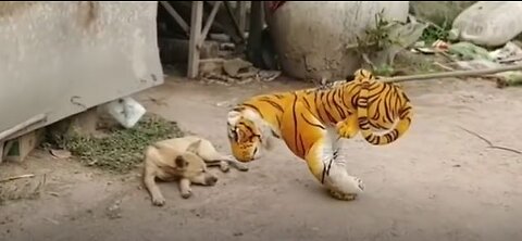 Prank Dog Funny & fake Lion and Fake Tiger Prank To dog