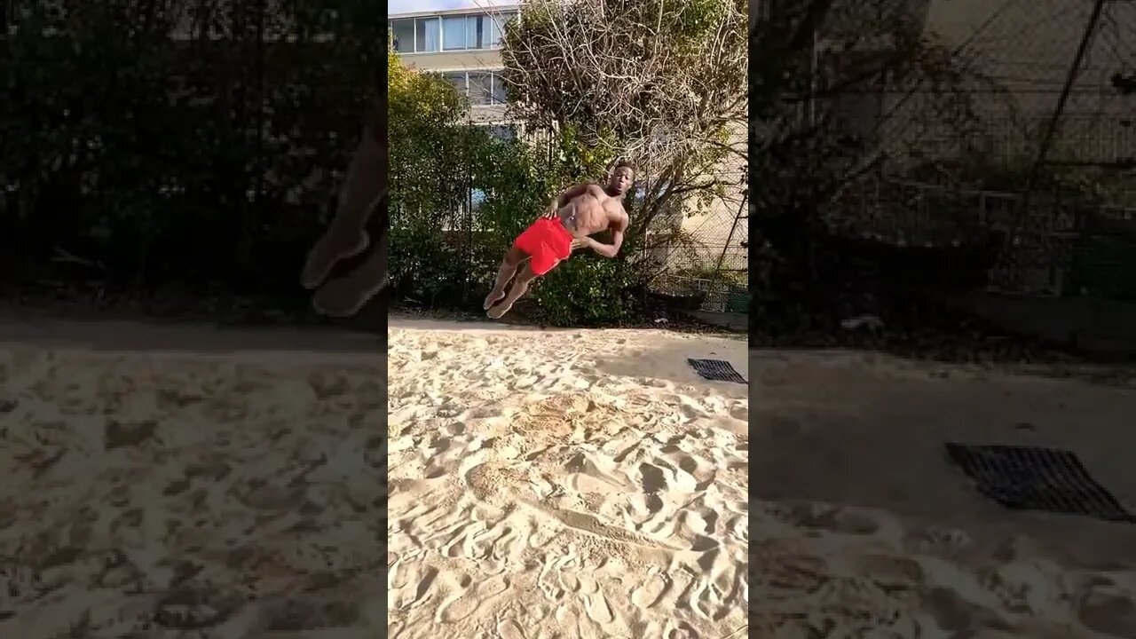 DOLPHIN JUMP 🐬🤯
