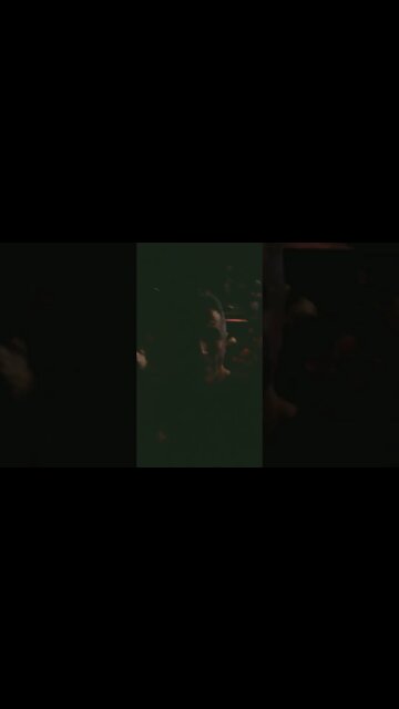 Higer project X DJ Dominique