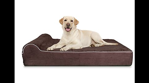 CALM-N-COMFY L Chaise Orthopedic Pet Beds with Removable Washable Cover for Small, Medium, and...