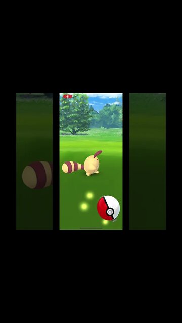 Pokémon Go - Catching Shiny Sentret Gameplay #Shorts