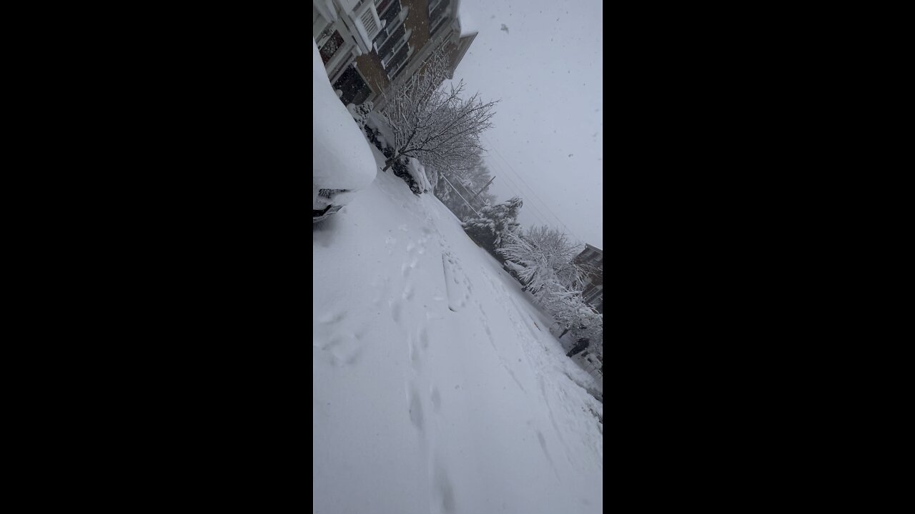 New Year’s First Snow in Virginia 2022