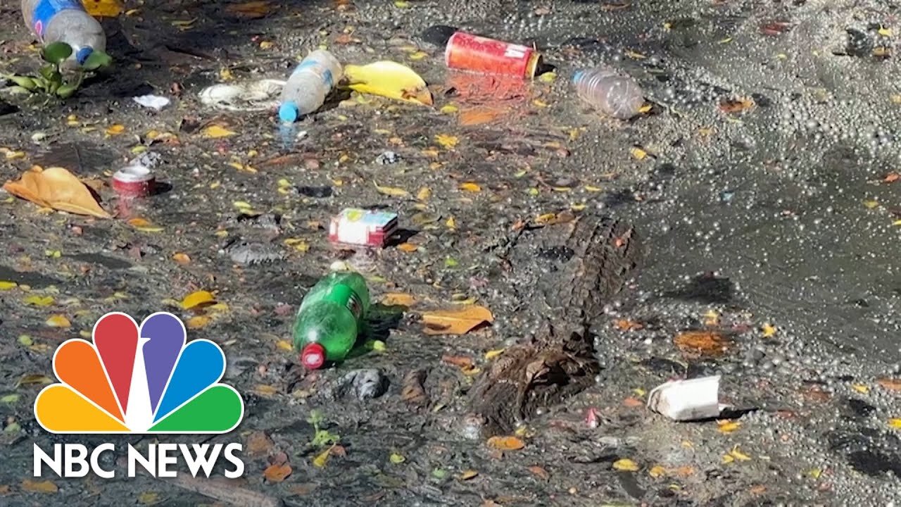 Rio community concerned as caiman habitat fills with city's trash