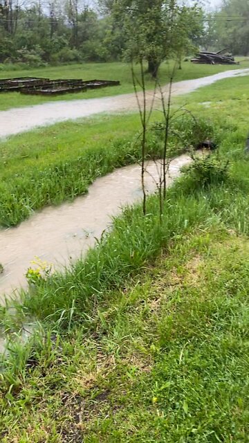 Why we use raised beds...