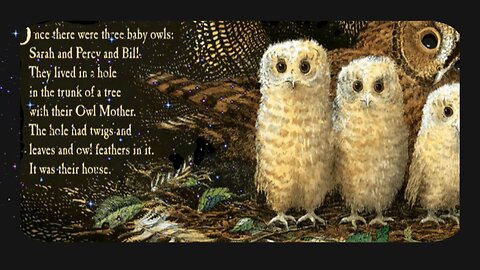 Owl Babies Read Along Story