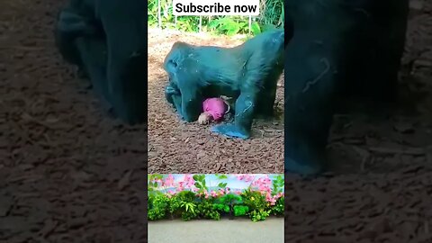 #short #viral #tranding #shorts #viralvideo #viralshorts #viralshort #shortvideo #musti #comedy #dk