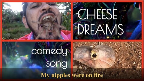 Cheese Dreams | Comedy Song