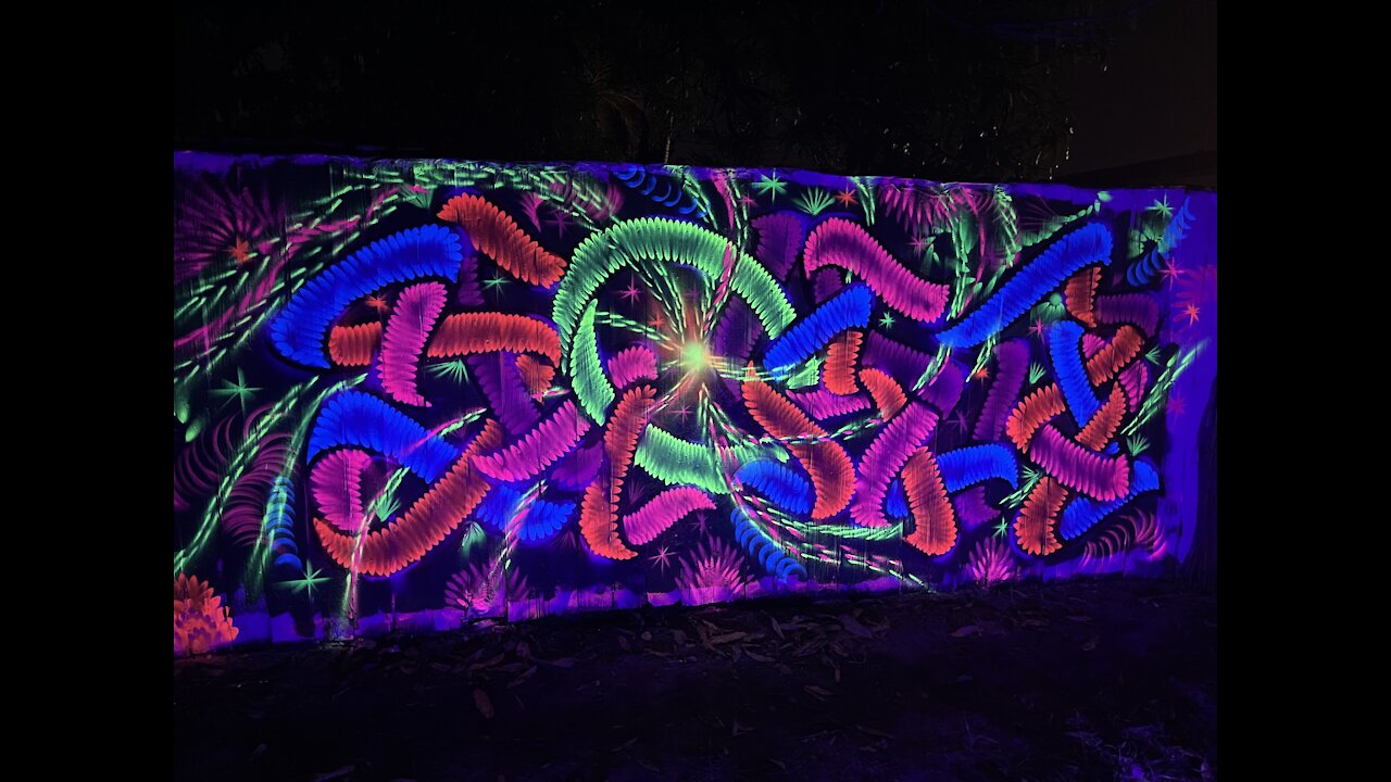 Graffiti back yard fluorescent art Shoker