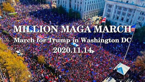 March for Trump | Million MAGA March | Washington DC | 2020-11-14