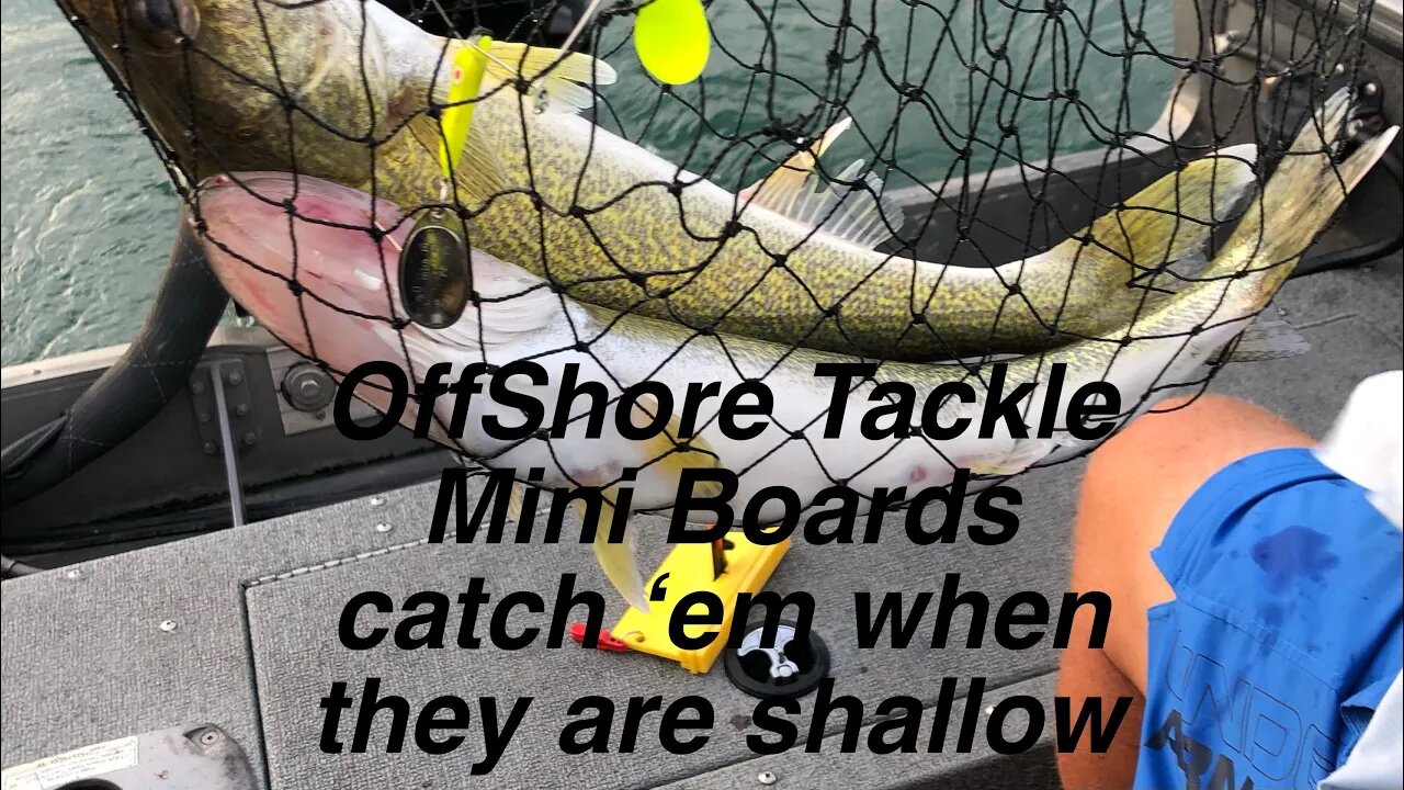 Using Offshore tackle mini boards￼ for shallow water walleye in Lake Erie