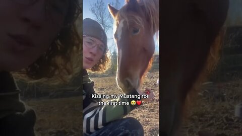 Kissing A Mustang