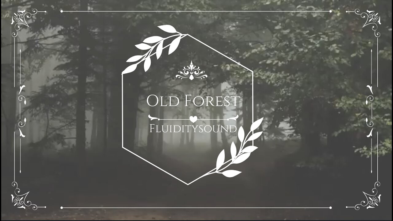 Old Forest | Beautiful Chillstep Mix