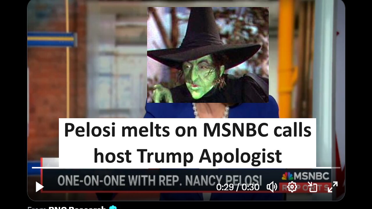 Pelosi melts on MSNBC calls host Trump apologist