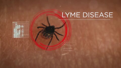 Understanding Lyme Disease: Symptoms, Treatment, and Long-Term Management