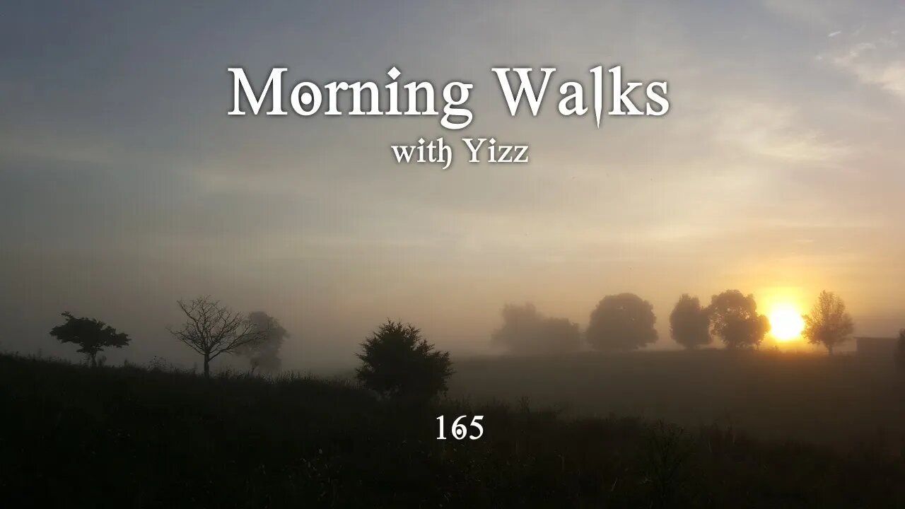 Morning Walks with Yizz 165