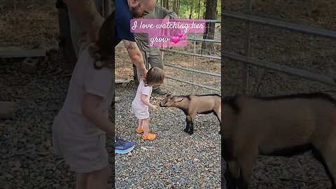 our greatest blessing 💕 #homestead #farm #video #shorts #memories