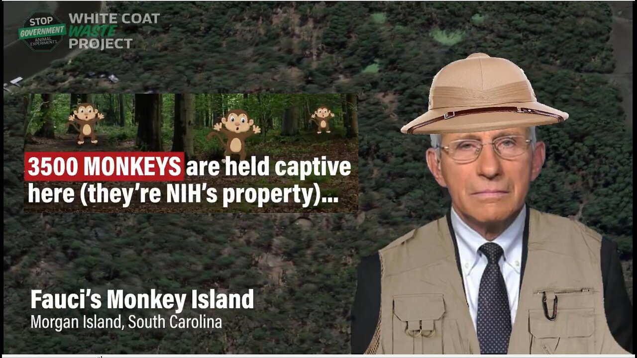 🙉Fauci’s Monkey Island 🙉 3,500 monkeys are held captive here