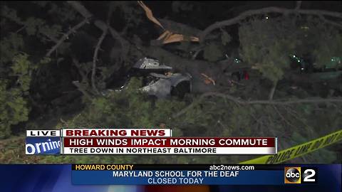 Strong Winds Blow Through Maryland