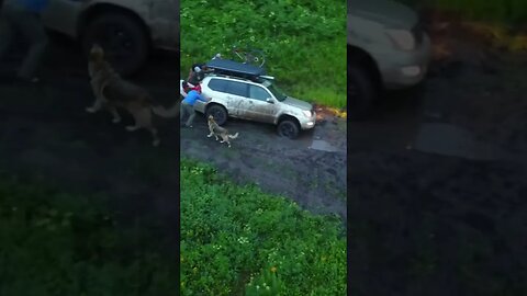 Prado Landcruiser 4x4 stuck - see full video on channel- in Colorado mountain mud.