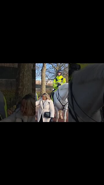 Tourist stroking met police horses #clarencehouse