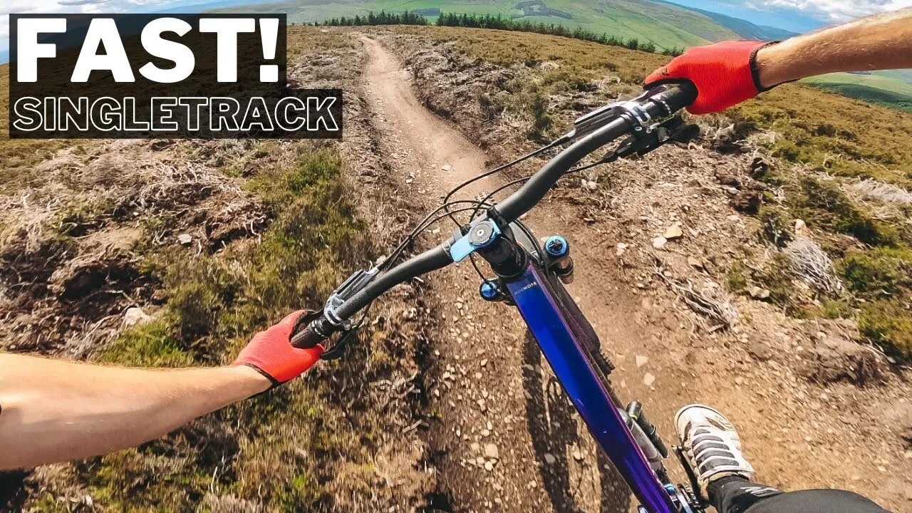 WHY DON'T MORE TRAILS LIKE THIS EXIST!? MTB POV