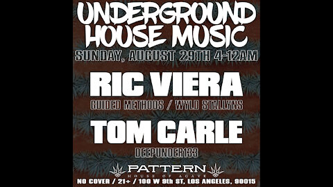 Ric Viera w/ Tom Carle - Pattern Bar - Amigos Sunday EP4 - LIVE House Music (08/29/2021)