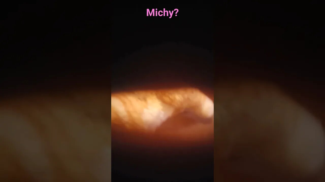 Michy?