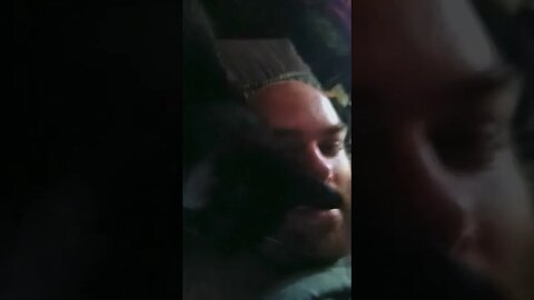 pillow pirate strikes again #kittycat #shortsfeed #kitty #shortsvideo #youtubeshorts #catshorts