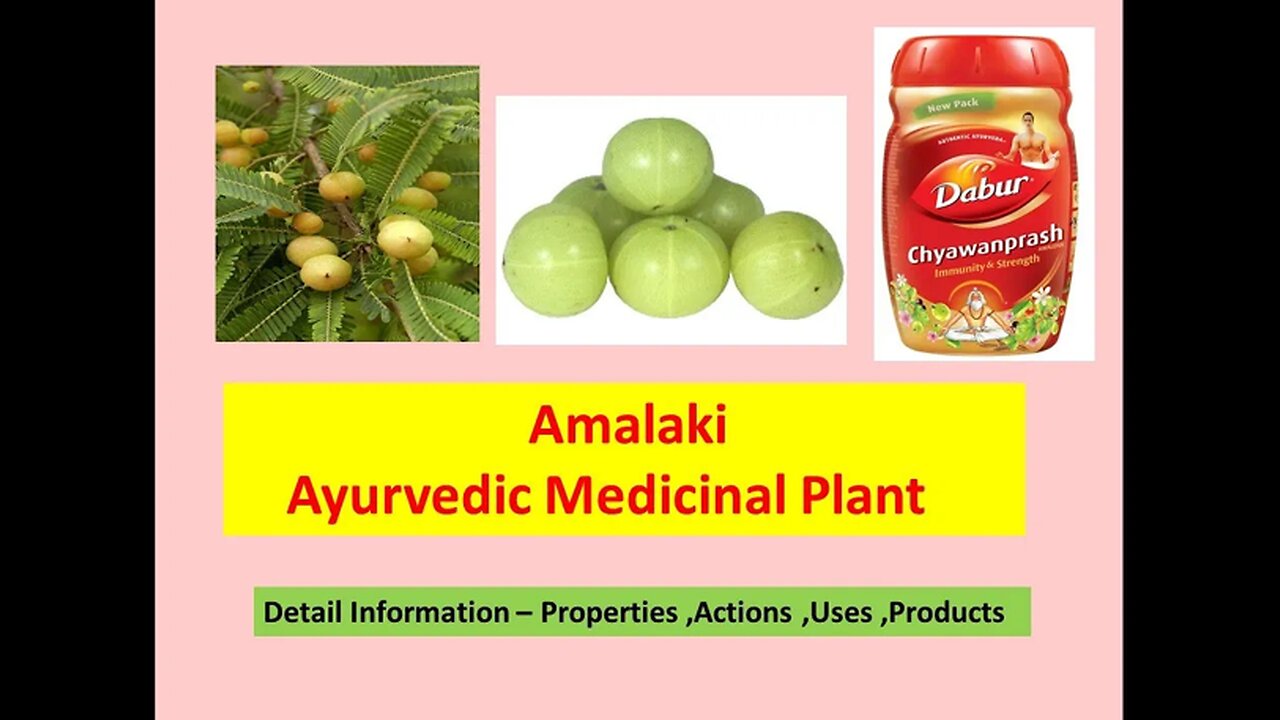 Amalaki l Ayurvedic Medicinal Plant l Properties lActions l Uses l Products l Emblica officinalis