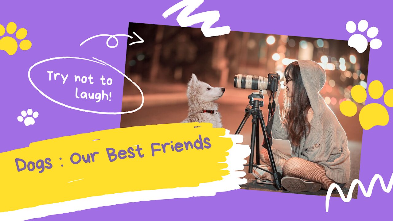 Dogs : Our Best Friends !