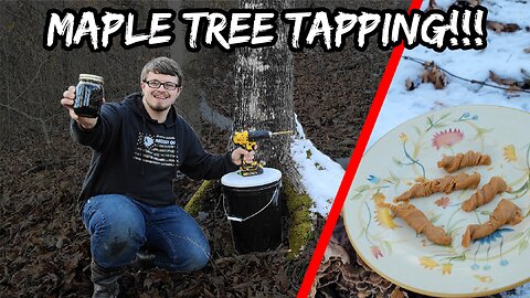 Maple Tree Catch and Cook!!! | Making Pull Candy From Maple Trees!!!