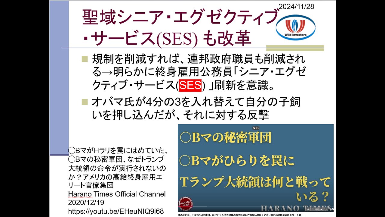 投資戦略動画（公開用）20241128 米政府効率化省(DOGE)は凄い！無償労働で政府の無駄を削りまくる。日本で報道できないよ。聖域シニア・エグゼクティブ・サービス(SES)も改革。