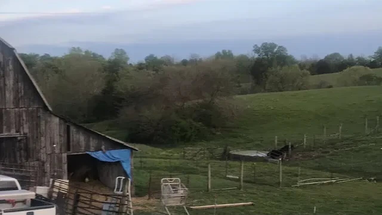 I post a lil bit of everything