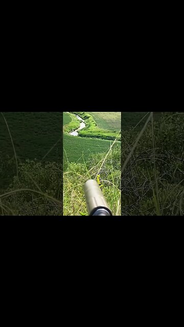 Blasting a freedom seed into Goodman creek! #shorts