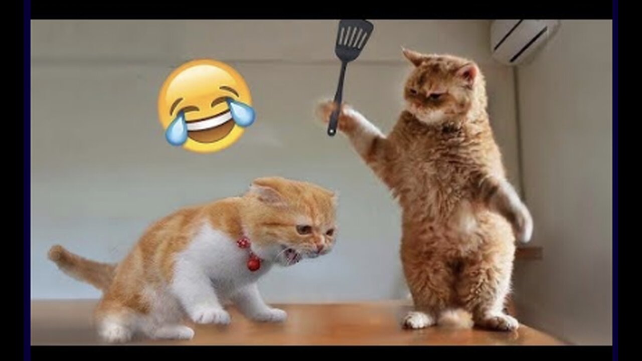 Best Funniest Animal Videos 2023 😅