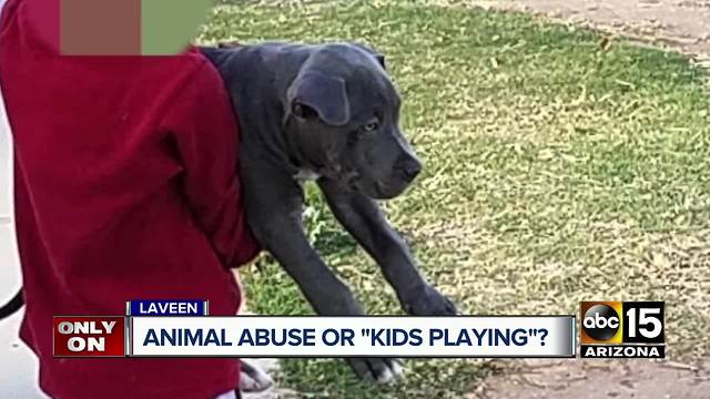 Laveen man intervenes after seeing boy body slam puppy