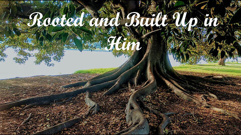 Rooted and Built Up in Him