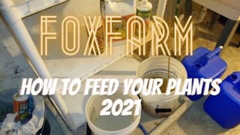 How To Feed Your Plants | Using Foxfarm Nutrients