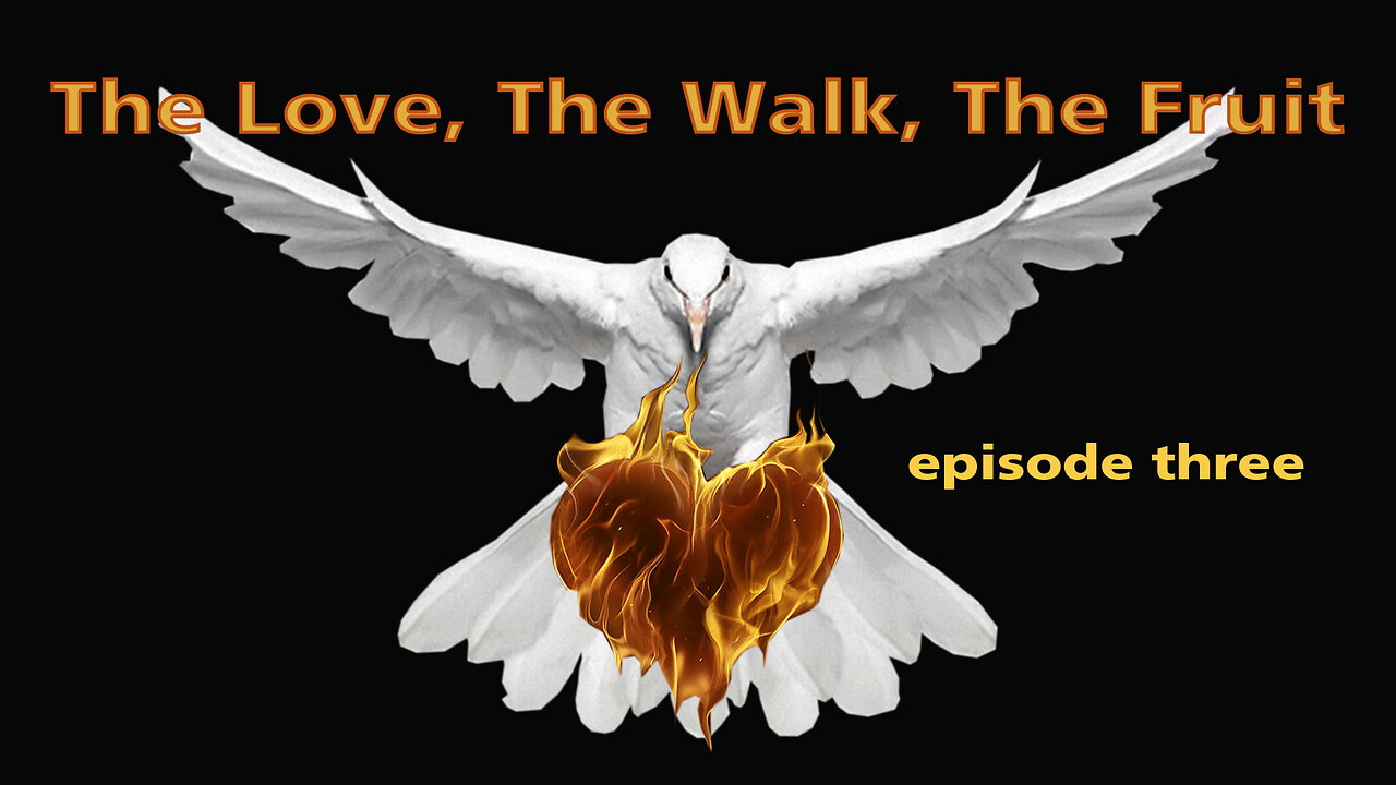 The Love - The Walk - The Fruit / Episode Three