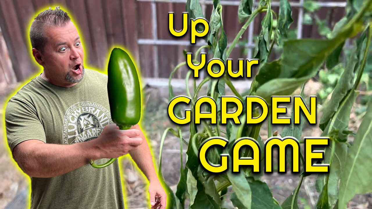 Step up your gardening game with these simple tips