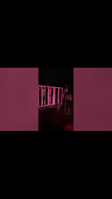 Wisconsin Home's Skeletal 'Sc-Eras Tour' Display Delights Taylor Swift Fans