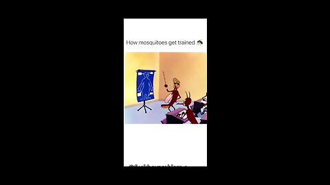 Chatti funny videos