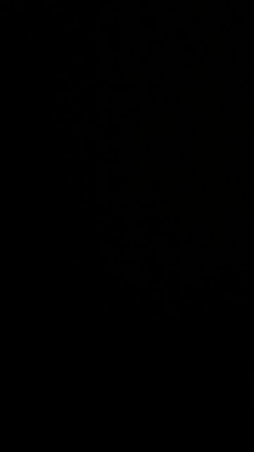 Butler Pennsylvania rally