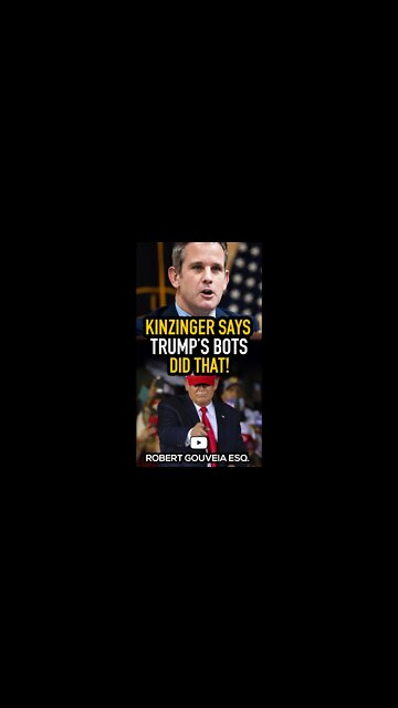 Kinzinger says Trump's Bots did that! #shorts