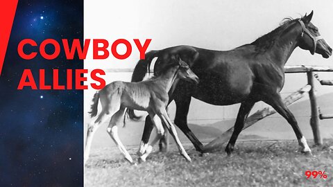 WW2's Secret Alliance: US & Germans Save Horses from Soviets