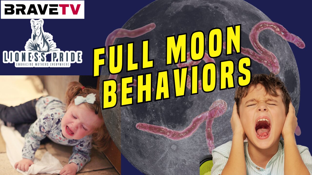 Brave TV - Aug 1, 2023 - Lioness Pride - Full Moon Behaviors