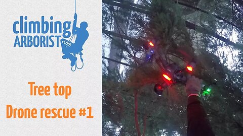 Tree top Drone rescue #1- ClimbingArborist & Grizzly Tree Experts